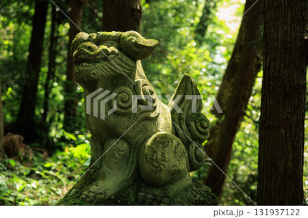 【石川県】白山手取川ジオパーク『白山比咩神社の狛犬』 131937122