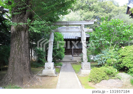 高円寺　「双龍鳥居」　東京都杉並区高円寺 131937184
