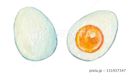 水彩で描いたゆで卵のイラスト 水彩で描いたゆで卵のイラスト 131937347