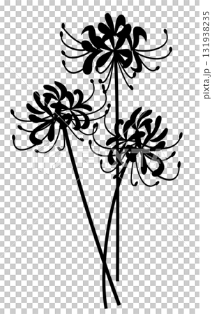 Simple Higan spider lilies 131938235