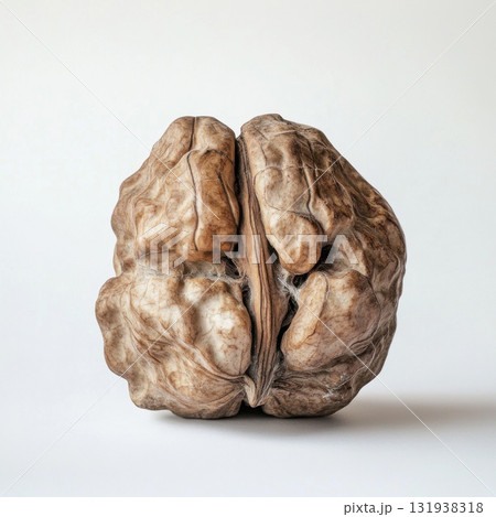 Unique walnut with distinct texture and natural patterns set against a plain background Unique walnut with distinct texture and natural patterns set against a plain background 131938318