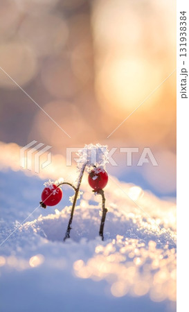 Snow-Covered Red Berry Branch Snow-Covered Red Berry Branch 131938384