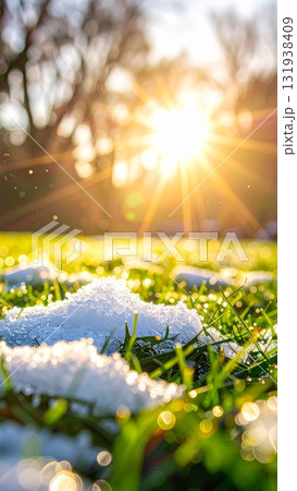 Melting Snow on Grass Field Melting Snow on Grass Field 131938409