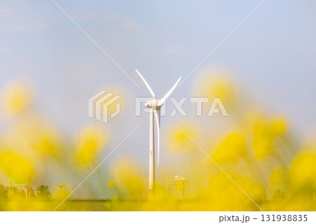 台湾 花畑 ターバン 131938835