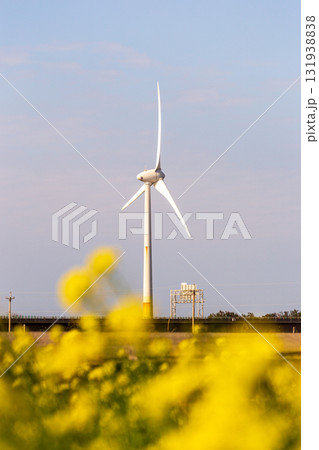 台湾 花畑 ターバン 131938838