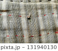 Torn fabric. Frayed cloth background for sample, presentation, safety issue, excessive acid wash warning etc 131940130