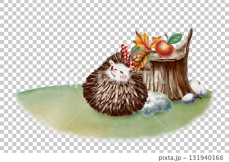 Funny long-eared hedgehog curled up in a ball,quietly dozing In a clearing near an old stump with pebbles and moss with autumn maple and oak leaves a sprig of rowan berries, and an apple Funny long-eared hedgehog curled up in a ball,quietly dozing In a clearing near an old stump with pebbles and moss with autumn maple and oak leaves a sprig of rowan berries, and an apple 131940168