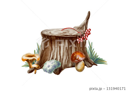 Whimsical tree stump with soft grass and fluffy moss,mushrooms and berries created with watercolor and textured colored pencils.For childrens books,nature themes,and precshool educational projects 131940171