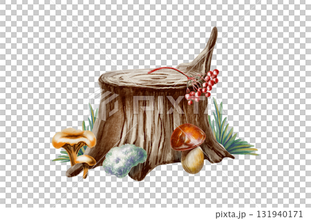 Whimsical tree stump with soft grass and fluffy moss,mushrooms and berries created with watercolor and textured colored pencils.For childrens books,nature themes,and precshool educational projects 131940171