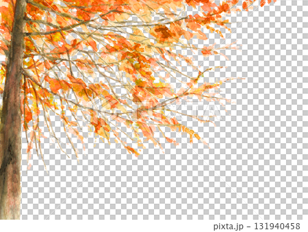 一棵大樹,秋天的葉子用水彩畫(手繪),白色背景,剪下,帶有複製空間 一棵大樹,秋天的葉子用水彩畫(手繪),白色背景,剪下,帶有複製空間 131940458