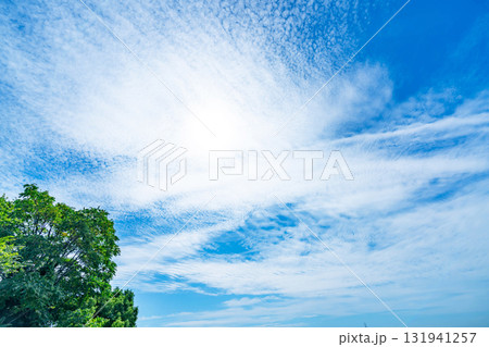 秋の雲と木立 131941257