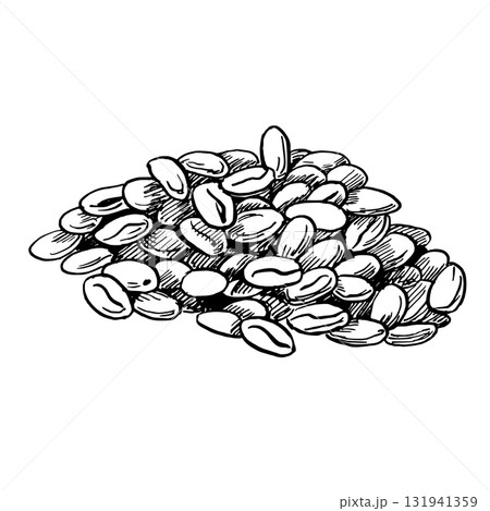 A pile of roasted coffee beans. A realistic coffee-themed vector illustration for product design, interior decor, packaging, posters, postcards, and menus. 131941359
