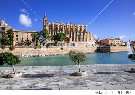 パルマ大聖堂 パルマ大聖堂 131942498