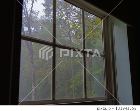 霧に包まれた森を窓越しに眺める静かな朝 131943558