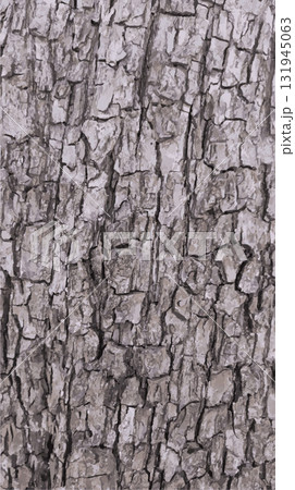 Texture of tree bark in brown shades. Vector. 131945063