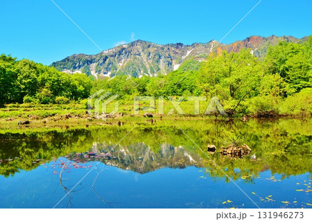 新緑の秘境秋山郷天池・鳥甲山風景 131946273