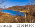 新潟県　苗場らの秋景色　 131946300