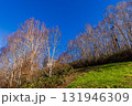 新潟県　苗場らの秋景色　 131946309