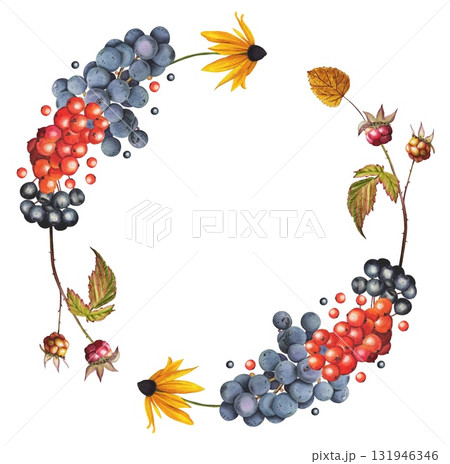 Hand drawn wreath with berries: chokeberry, red rowan, and grapes. Watercolor illustration. 131946346