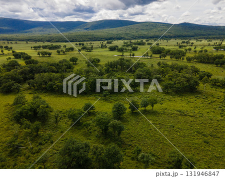 Expansive green landscapes in Vladivostok, Russia during a cloudy day Expansive green landscapes in Vladivostok, Russia during a cloudy day 131946847