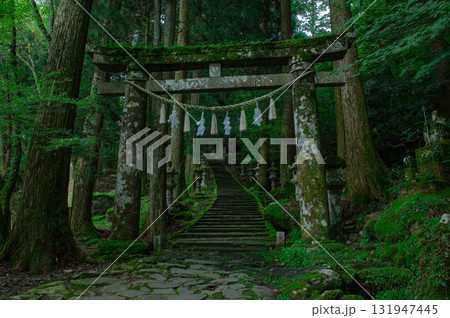 高住神社の鳥居と参道 131947445