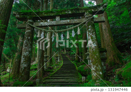 高住神社の鳥居と参道 131947446