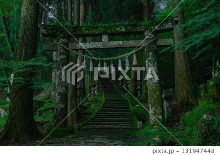 高住神社の鳥居と参道 高住神社の鳥居と参道 131947448
