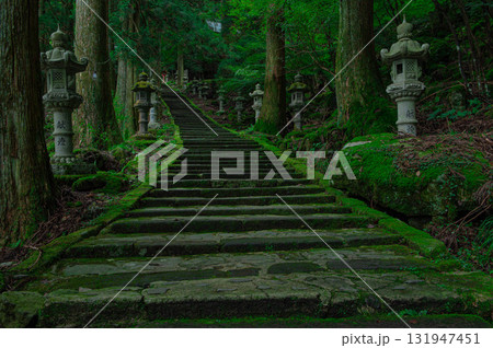 高住神社の参道 高住神社の参道 131947451
