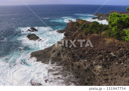 石廊崎（静岡県南伊豆町） 131947754