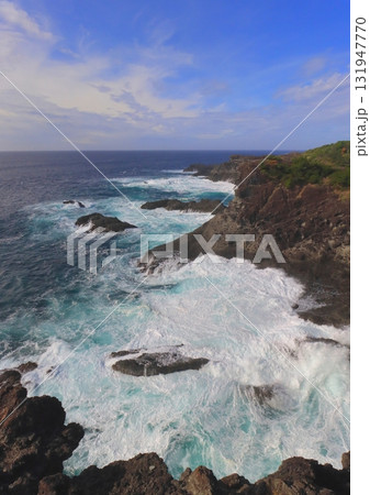 石廊崎（静岡県南伊豆町・縦構図） 131947770