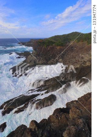 石廊崎(静岡県南伊豆町・縦構図) 石廊崎(静岡県南伊豆町・縦構図) 131947774