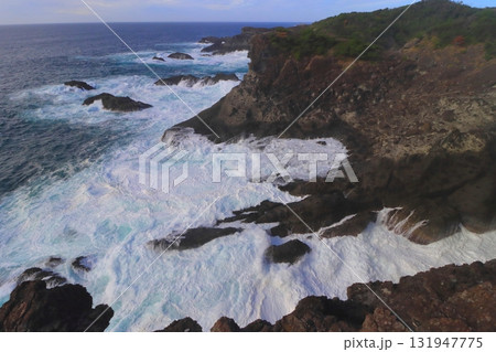 石廊崎（静岡県南伊豆町） 131947775