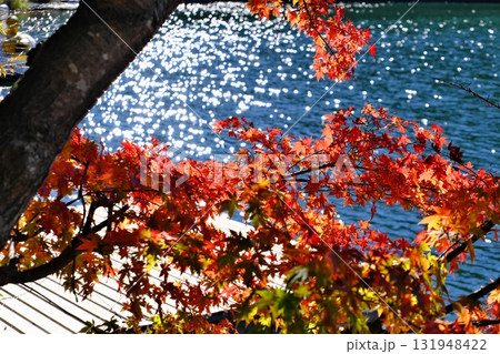 四尾連湖湖畔の紅葉 131948422