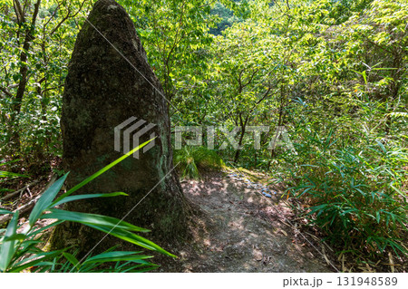 二上山登山道の途中にある特徴的な石とお供物のようなものが置かれている風景 二上山登山道の途中にある特徴的な石とお供物のようなものが置かれている風景 131948589