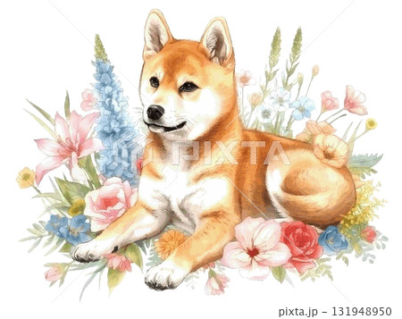 水彩で描いた柴犬のイラスト 水彩で描いた柴犬のイラスト 131948950