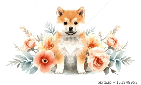 水彩で描いた柴犬のイラスト 水彩で描いた柴犬のイラスト 131948955