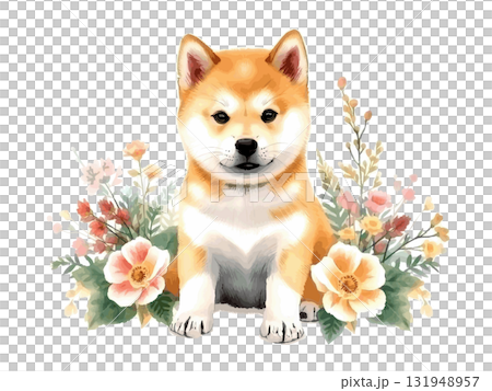 可愛的手繪柴犬和花朵插圖 131948957