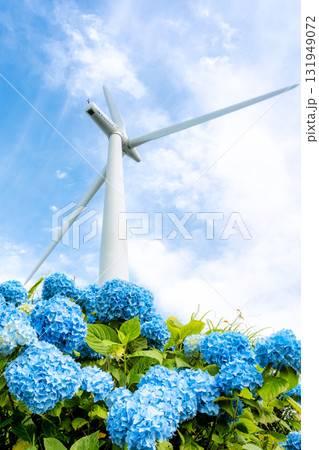 風車とあじさい 風車とあじさい 131949072