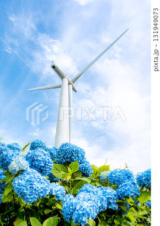 風車とあじさい 131949073