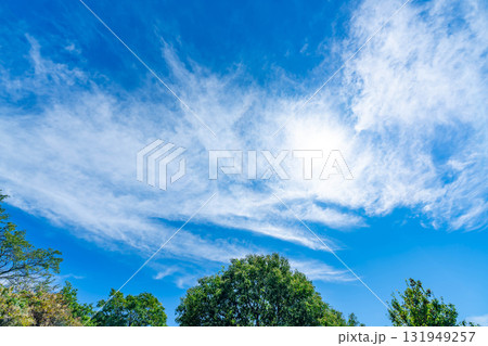 青空と雲と木立 131949257