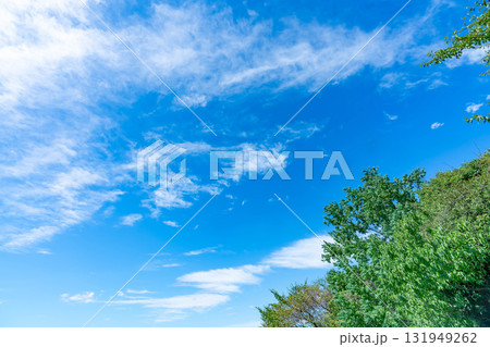 青空と雲と木立 青空と雲と木立 131949262