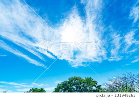 青空と雲と木立 131949263