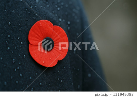 Red poppy symbolizing Armistice Remembrance Day on wet dark fabric Red poppy symbolizing Armistice Remembrance Day on wet dark fabric 131949388