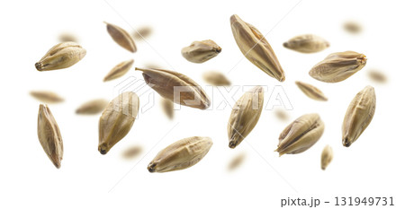 Barley malt grains levitate on a white background 131949731
