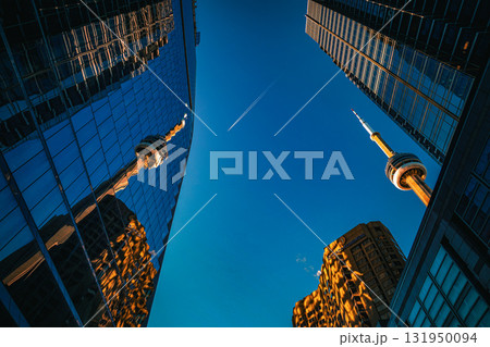 青空に映えるトロント 131950094