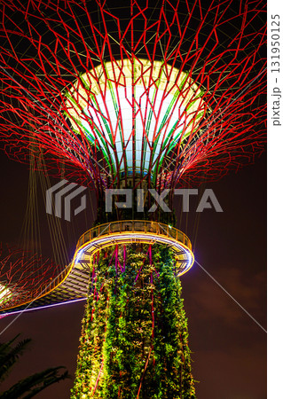 自然と光の橋（スーパーツリー） 131950125