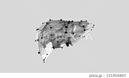 3d render of low-poly liver over white background 131950803
