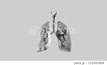 3d render of low-poly lungs over white background 131950804
