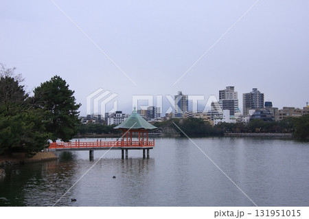 福岡県福岡市の野鳥の楽園　大濠公園 131951015
