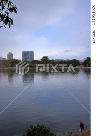 福岡県福岡市の野鳥の楽園　大濠公園 131951020